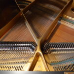 August Förster 4500,= a