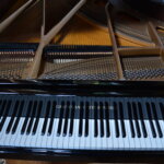 Grotrian Steinweg e
