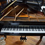 Grotrian Steinweg i
