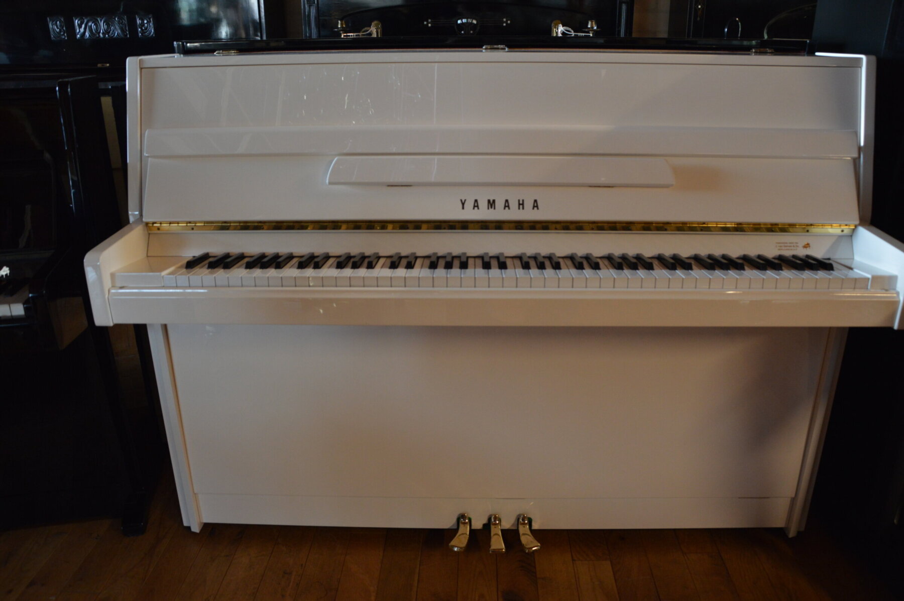 Yamaha wit